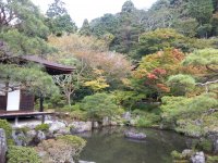20121026_143945.jpg